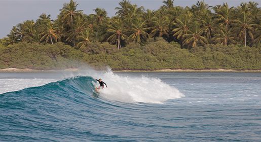 Surf Charters: Dedicate your journey to the waves!