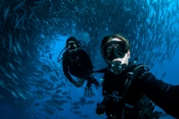 Maldives borders open for any nationality